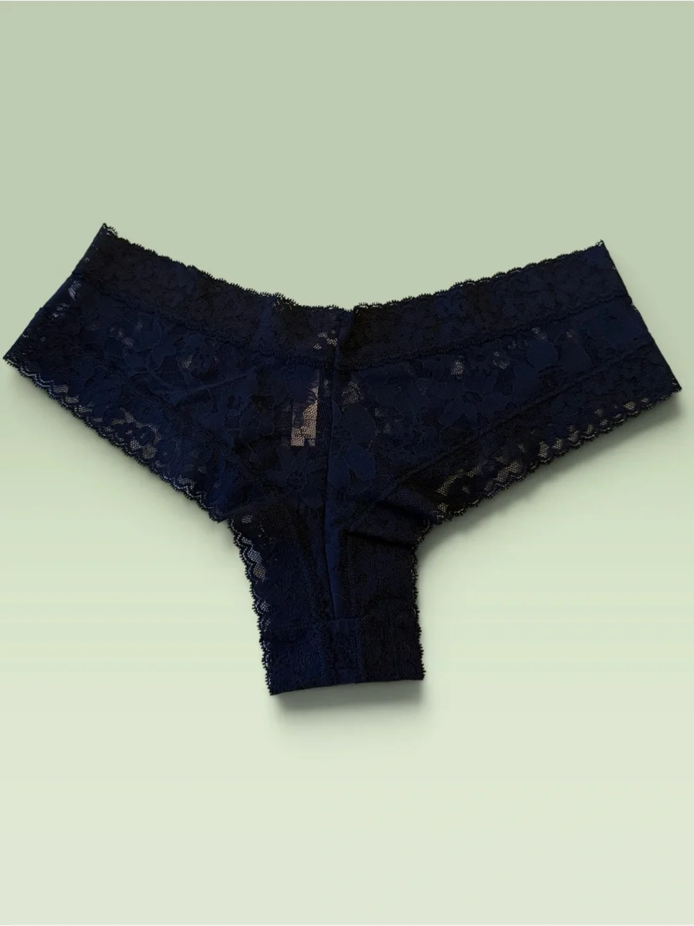 Victoria's Secret Navy Lace Hipster Panty
